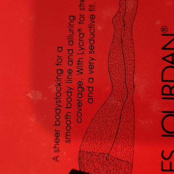 CHARLES JORDAN BODYSTOCKING - Picture 2 of 6